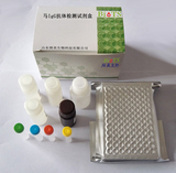 馬IgG抗體檢測試劑盒